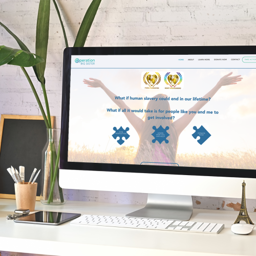 Operation Big Sister